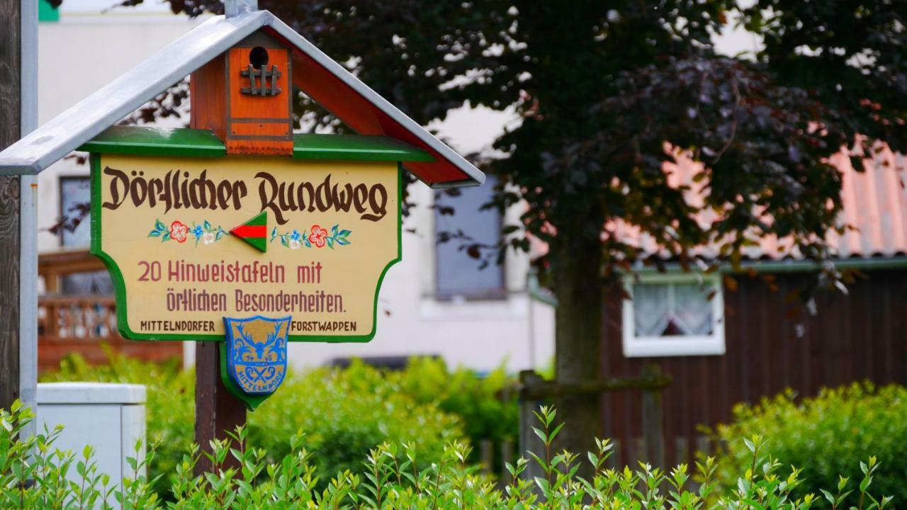 Pension Am Weinberg Saechsische Schweiz Mittelndorf Zewnętrze zdjęcie